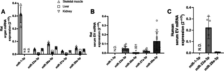 Extracellular vesicle distribution and localization in skeletal muscle at rest and following disuse atrophy.