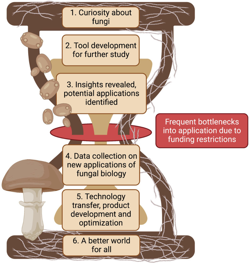 Fungal biotechnology: From yesterday to tomorrow.