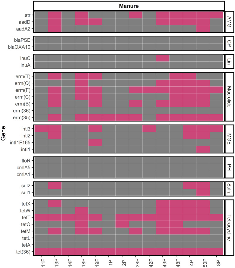 Comparison of antibiotic resistance genes in swine manure storage pits of Iowa, USA.