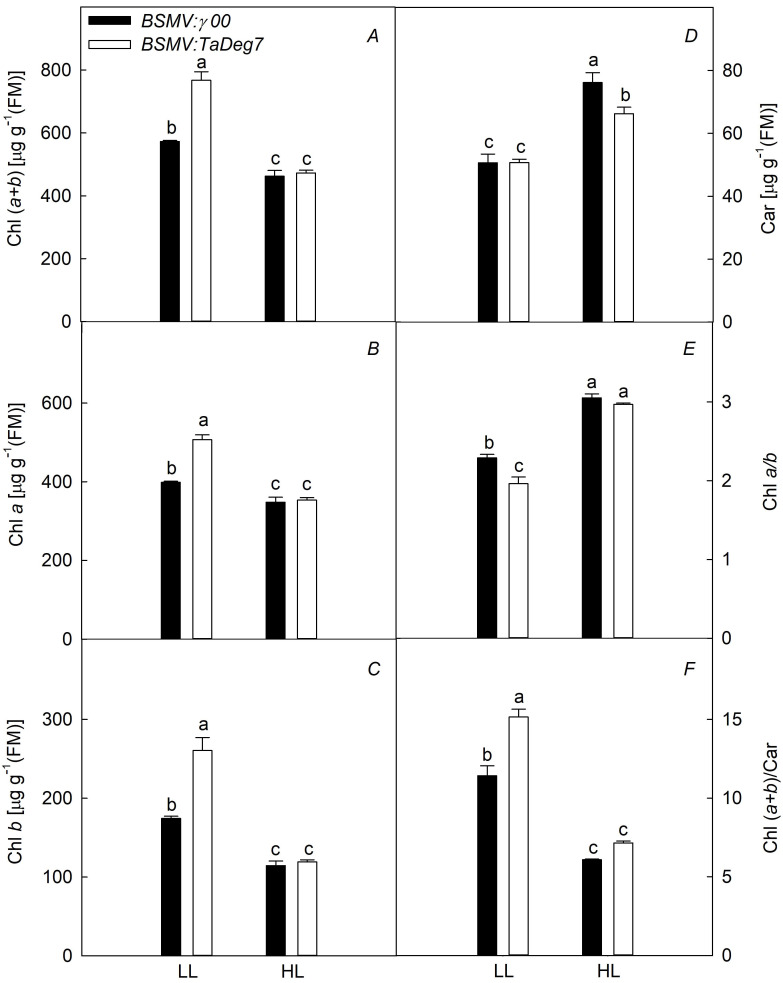 Downregulated expression of <i>TaDeg7</i> inhibits photosynthetic activity in bread wheat (<i>Triticum aestivum</i> L.).