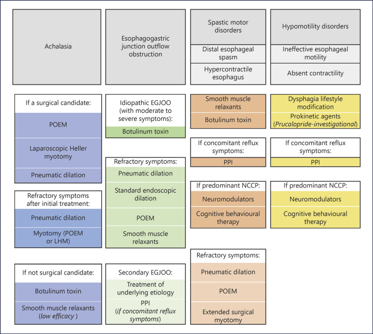 Current Approach to Dysphagia: A Review Focusing on Esophageal Motility Disorders and Their Treatment.