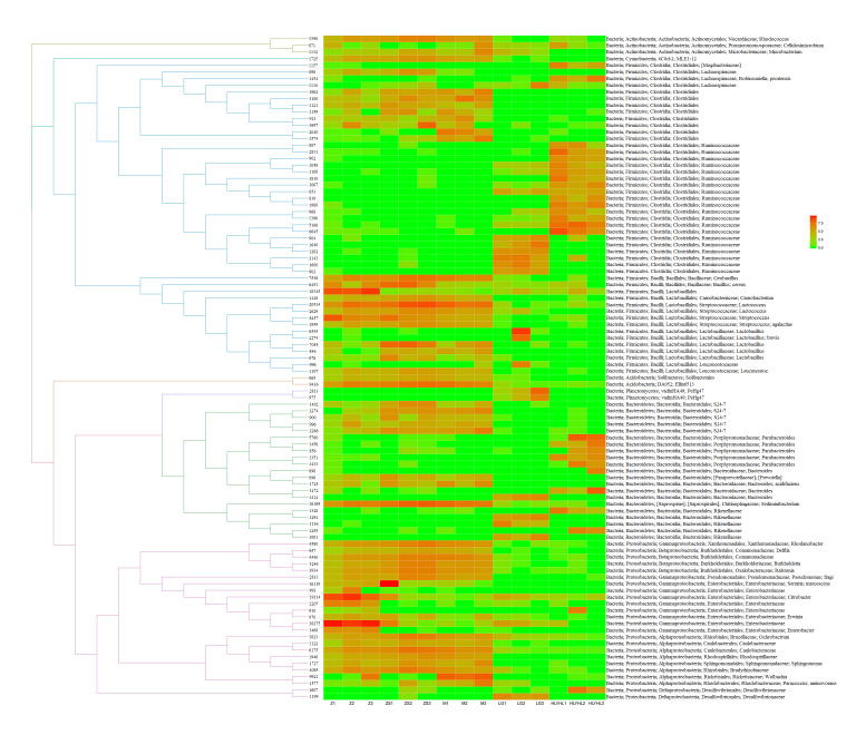 The gut microbiota diversity of five Orthoptera (Insecta, Polyneoptera) insects determined by DNA metabarcoding.