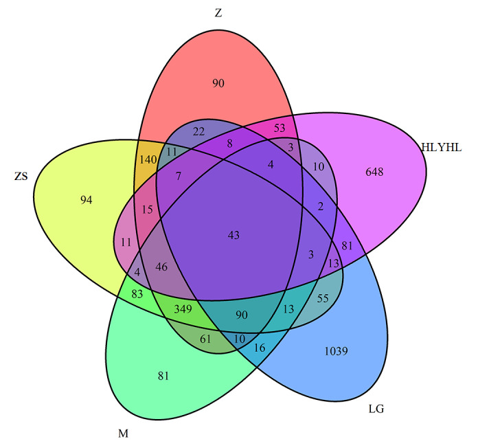 The gut microbiota diversity of five Orthoptera (Insecta, Polyneoptera) insects determined by DNA metabarcoding.
