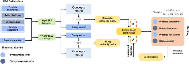 Mapping Chinese Medical Entities to the Unified Medical Language System.