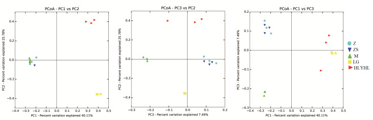 The gut microbiota diversity of five Orthoptera (Insecta, Polyneoptera) insects determined by DNA metabarcoding.