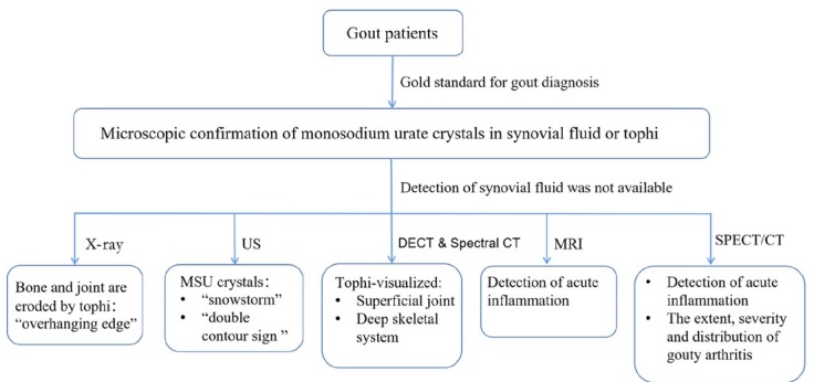 Single photon emission computed tomography/computed tomography imaging of gouty arthritis: A new voice.