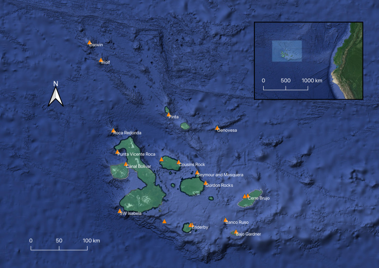 Species associated with whale sharks <i>Rhincodontypus</i> (Orectolobiformes, Rhincodontidae) in the Galapagos Archipelago.