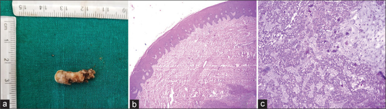 Abstract Image