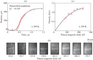 Study of Domain Wall Dynamics in GdFeCo Using Double High-Speed Photography