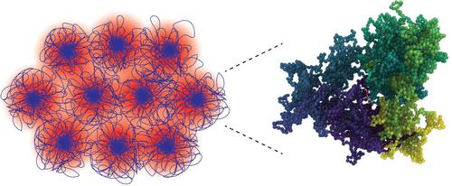 Unexpected Slow Relaxation Dynamics in Pure Ring Polymers Arise from Intermolecular Interactions