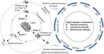 Perspective on oligomeric products from lignin depolymerization: their generation, identification, and further valorization†