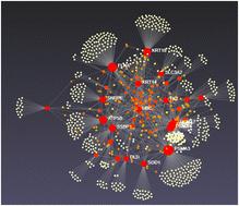 Role of identified proteins in the proteome profiles of CDK4/6 inhibitor-resistant breast cancer cell lines†