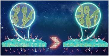 Hierarchically microporous membranes for highly energy-efficient gas separations