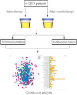 Integrated proteomic and metabolomic profiling of urine of renal anemia patients uncovers the molecular mechanisms of roxadustat†