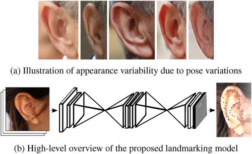 Efficient ear alignment using a two-stack hourglass network