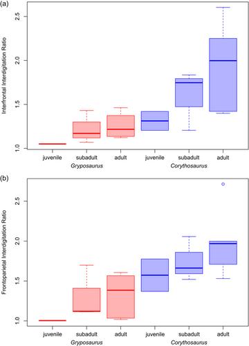 Calvarial suture interdigitation in hadrosaurids (Ornithischia: Ornithopoda): Perspectives through ontogeny and evolution