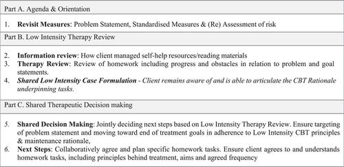 What guides guided self-help? Recognising the role of formulation in Low Intensity CBT