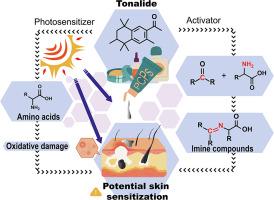 Bidirectional role of synthetic musk tonalide as photosensitizer and activator on amino acids: Formation of sensitizer imine at aqueous chemistry interface of skin