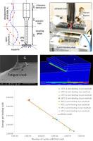 Lifetime modeling of solder joints based on accelerated mechanical testing and Finite Element Analysis