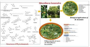 Review on Phytochemistry, Biology and Nano Formulations of Manilkara hexandra: An Update