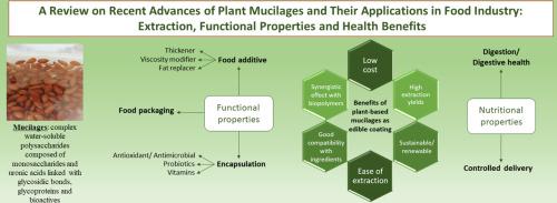 A review on recent advances of plant mucilages and their applications in food industry: Extraction, functional properties and health benefits