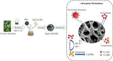 Aqueous Cr (VI) removal performance of an invasive plant-derived biochar modified by Mg/Al-layered double hydroxides