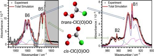 Infrared spectra of gaseous peroxychloroformyl radical ClC(O)OO: A key intermediate in the conversion of CO to CO2 in the Venus atmosphere