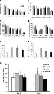 Low-dose curcumin enhances hippocampal neurogenesis and memory retention in young mice