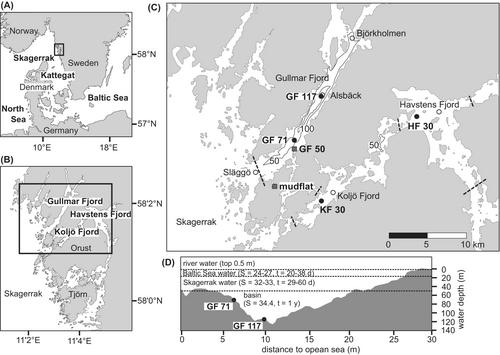 Through the eDNA looking glass: Responses of fjord benthic foraminiferal communities to contrasting environmental conditions