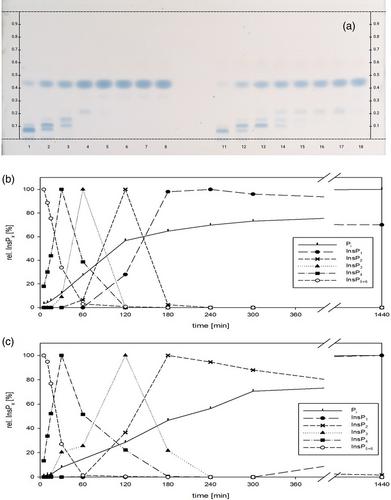 Enzyme-assisted HPTLC method for the simultaneous analysis of inositol phosphates and phosphate