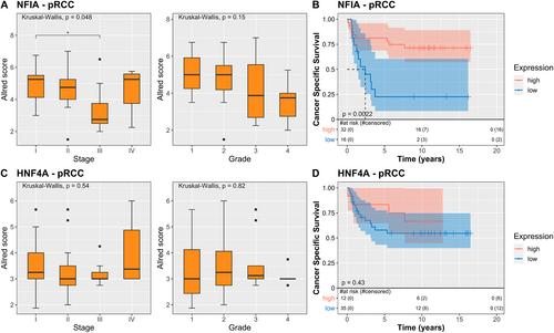 Identification and validation of NFIA as a novel prognostic marker in renal cell carcinoma