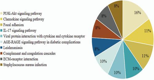 Identification of key immune-related genes and immune infiltration in diabetic nephropathy based on machine learning algorithms