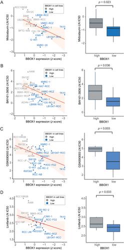 Low gamma-butyrobetaine dioxygenase (BBOX1) expression as a prognostic biomarker in patients with clear cell renal cell carcinoma: a machine learning approach