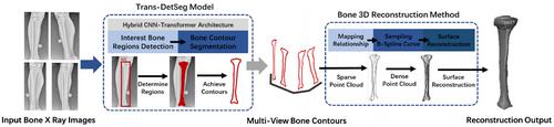 Recent advances of Transformers in medical image analysis: A comprehensive review