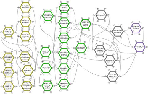 Critical path planning for discharging older adults using a functional perspective