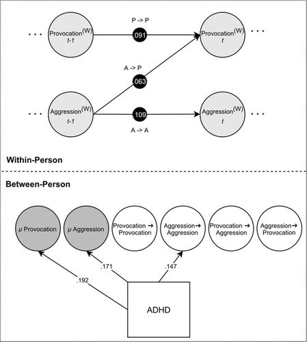 Exploring the effect of ADHD traits on the moment-to-moment interplay between provocation and aggression: Evidence from dynamic structural equation modeling