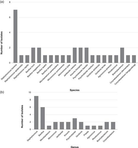 The abundance of the potential pathogen Staphylococcus hominis in the air microbiome in a dental clinic and its susceptibility to far-UVC light