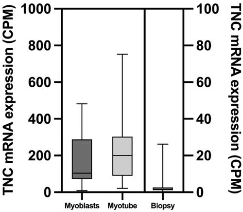 Increasing circulating levels of Tenascin C in response to the Wingate anaerobic test