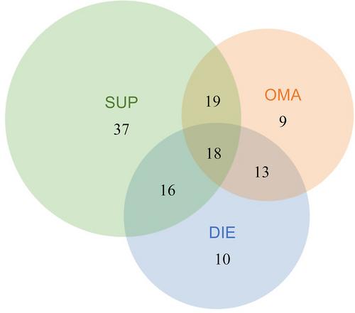 KRAS mutations and endometriosis burden of disease