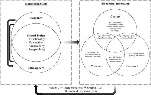 Biocultural innovation: Innovating at the intersection of the biosphere and ethnosphere