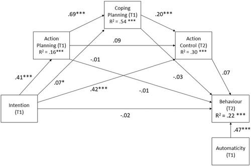 Reducing touching eyes, nose and mouth (‘T-zone’) to reduce the spread of infectious disease: A prospective study of motivational, volitional and non-reflective predictors