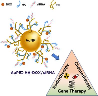 Delivery of siRNA using hyaluronic acid-guided nanoparticles for downregulation of CXCR4