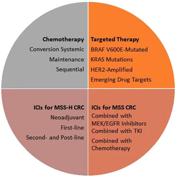 Advances and prospects of drug clinical research in colorectal cancer in 2022