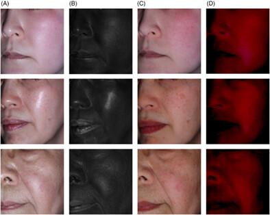 Age-related changes in surface reflection, diffuse reflection, and subsurface scattering light of facial skin: Luminance value measured by the system for the optical properties of facial skin