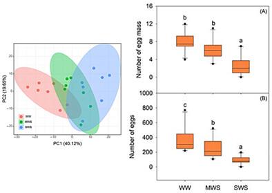 Effects of water stress on plant volatile emission and insect oviposition preference in an agroecosystem