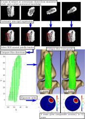 Minimum number of scans for collagen fibre direction estimation using Magic Angle Directional Imaging (MADI) with a priori information