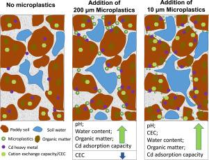 Influences of microplastics types and size on soil properties and cadmium adsorption in paddy soil after one rice season