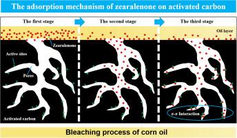 Adsorption behavior of activated carbon for the elimination of zearalenone during bleaching process of corn oil