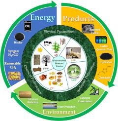 Sustainable management of unavoidable biomass wastes