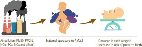 Ambient particulate matter (PM2.5) and adverse birth outcomes in Ho Chi Minh City, Vietnam